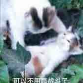 清清清末