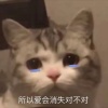 改名必中吗
