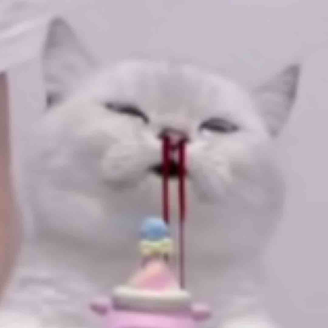 哥布林队长