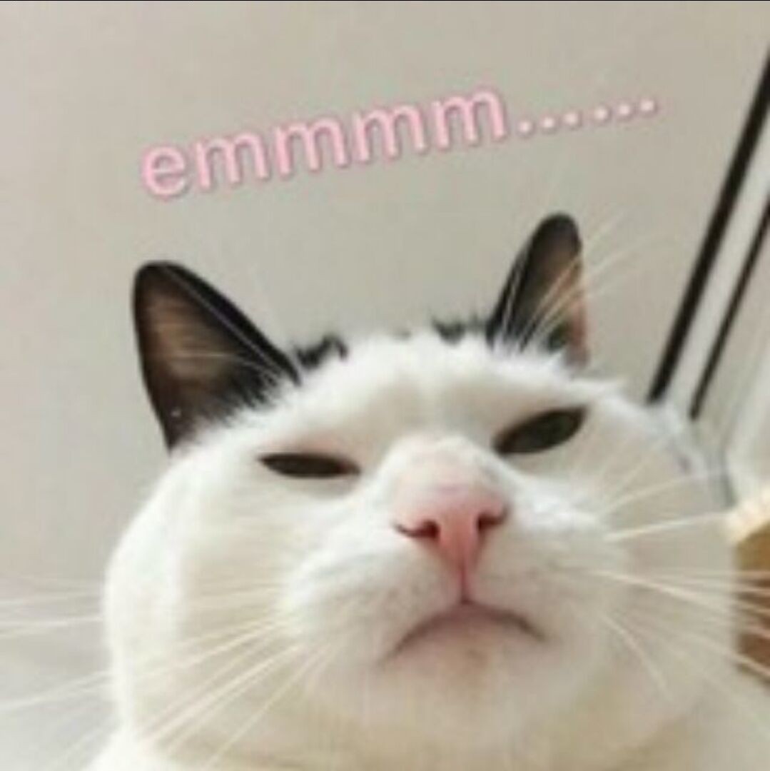 玩家844513698801930240