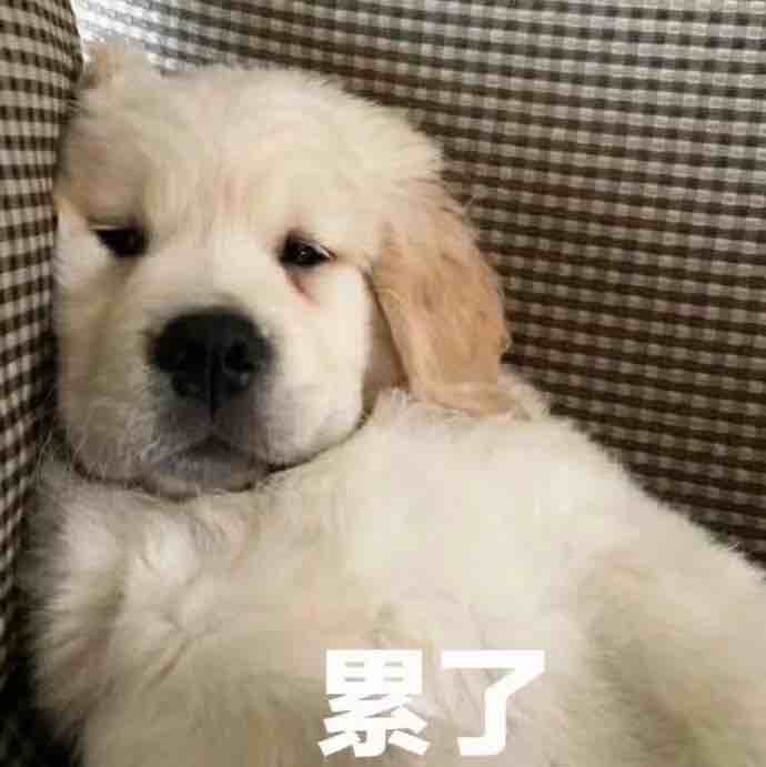 不沈事情
