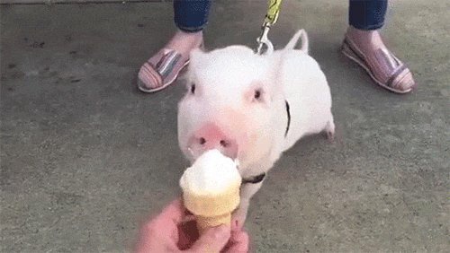虫虫在线秒发