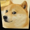 玩家712637299322146816