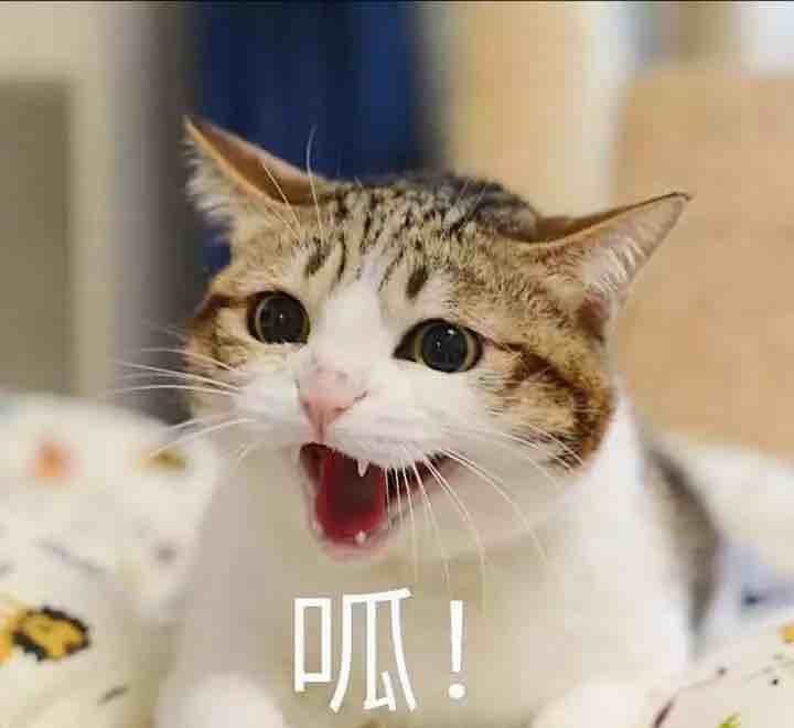 一介菜鸡