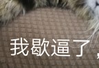 喜欢吗hh50102