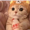 c5求求让我中