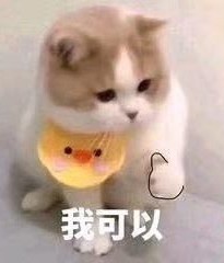 求求了，我不想当舔狗