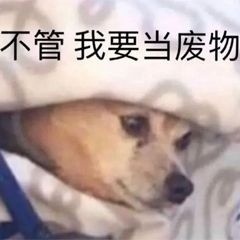 梦已长归