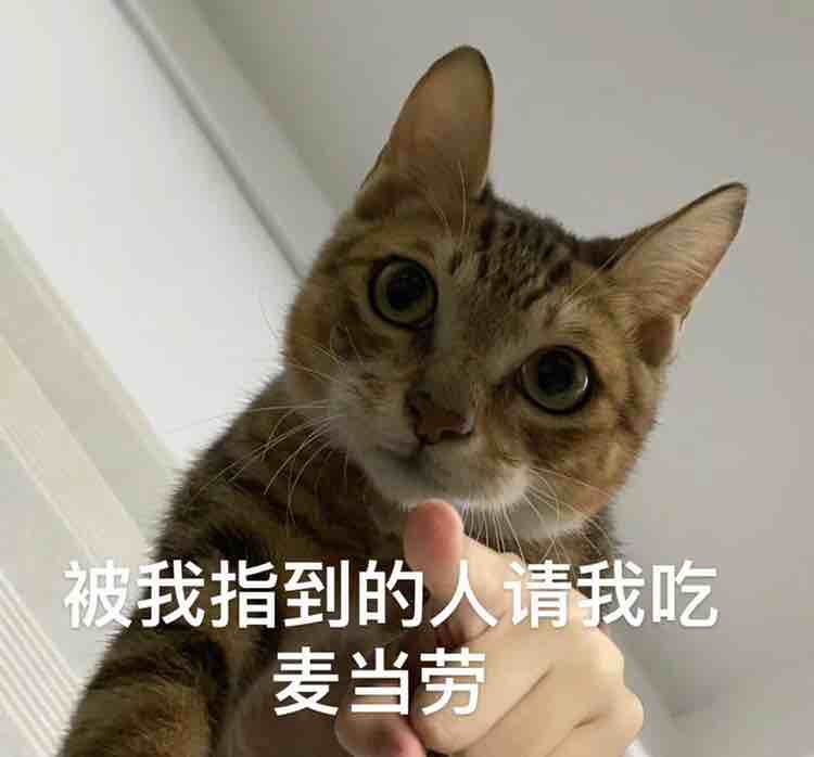 玩家884419338766430208