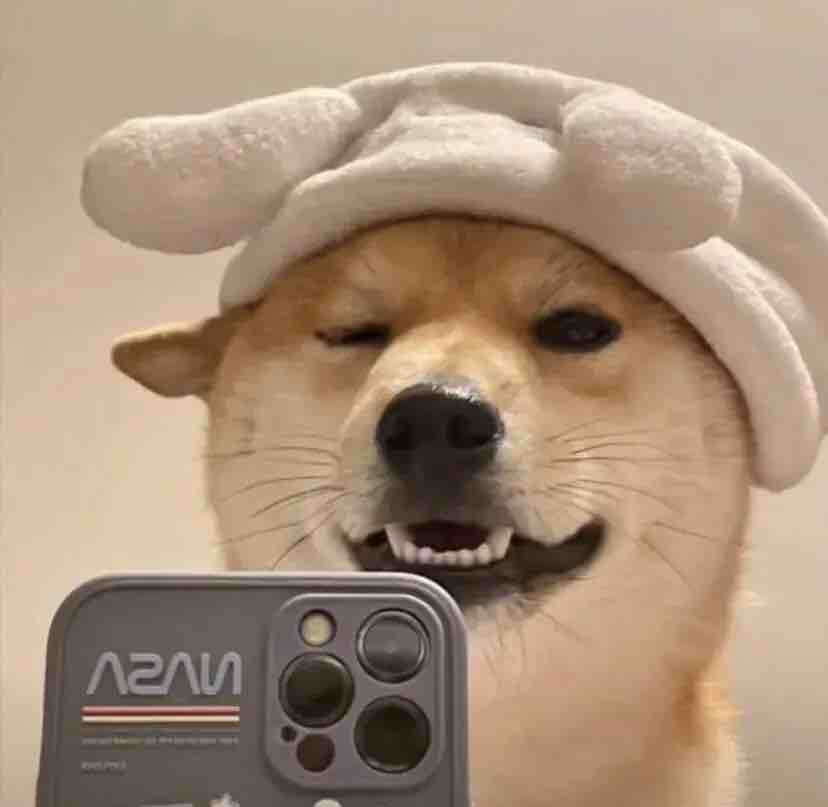 玩家878111350731907072