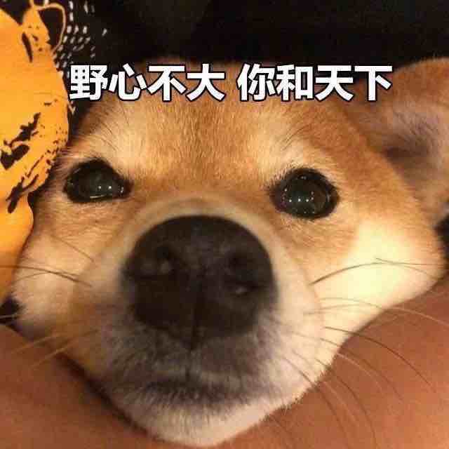 迷人小翠花