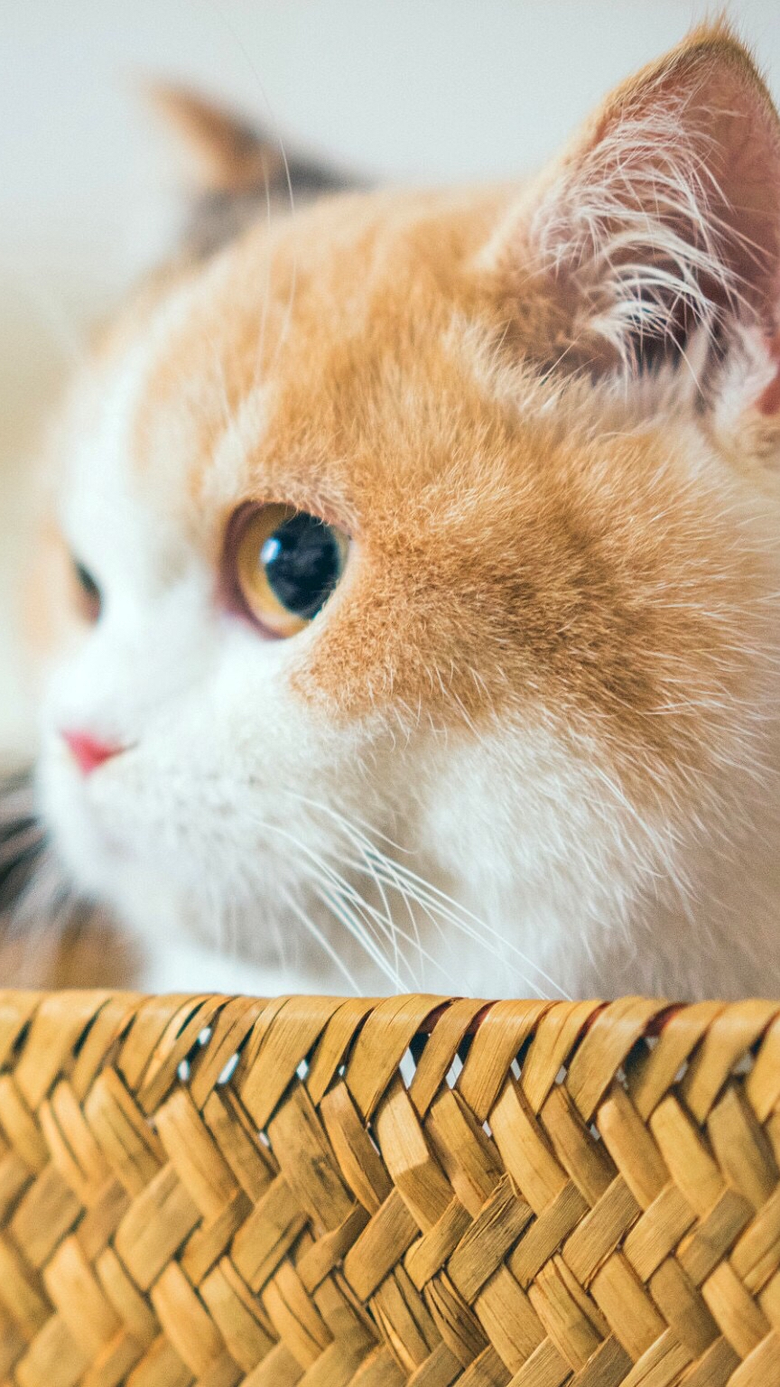 玩家893963967952134144