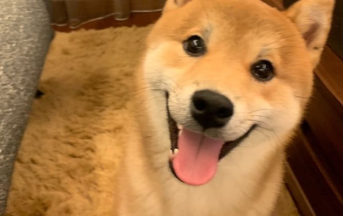 阳间时间秒发
