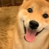 阳间时间秒发