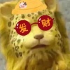 玩家846868209285615616