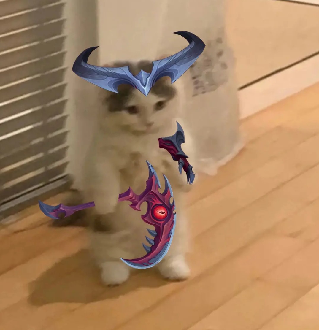虾饺皇x