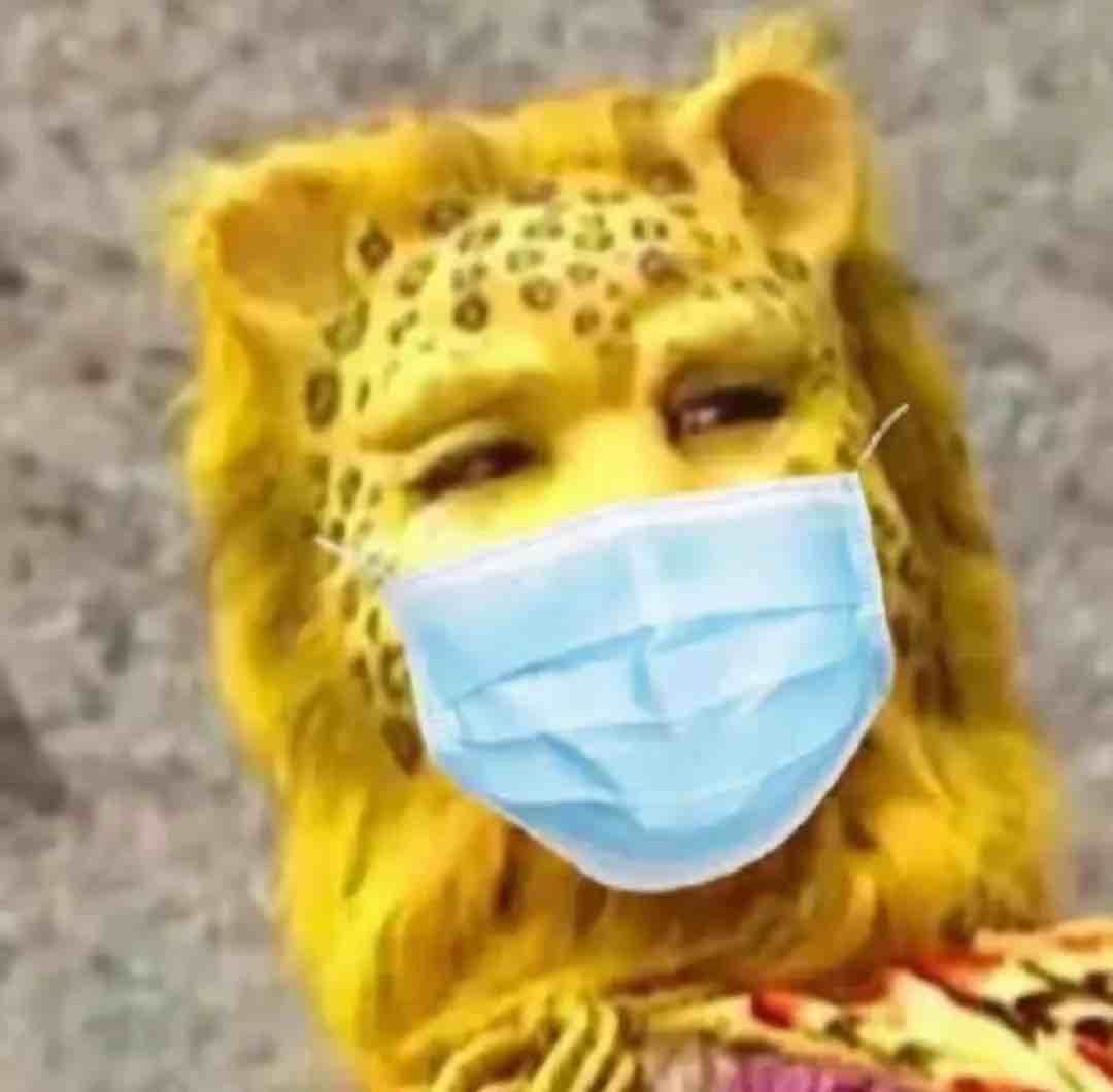 午夜心碎小狗