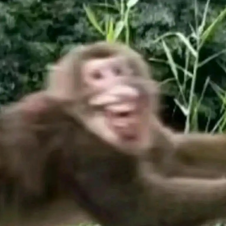 玩家737787144567410688