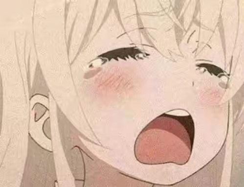 二次元天下无敌