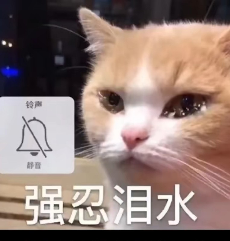 买我说明你真有钱