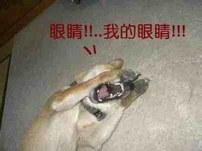 我顶你个钢盔