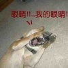 我顶你个钢盔
