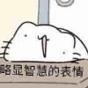 ywwuyi