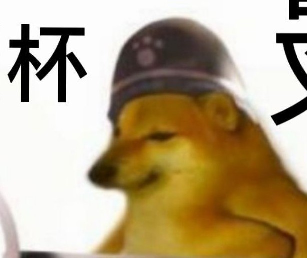 柴鱼打CS