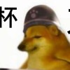 柴鱼打CS