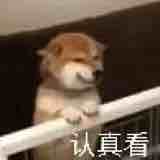 玩家1024635186425778176