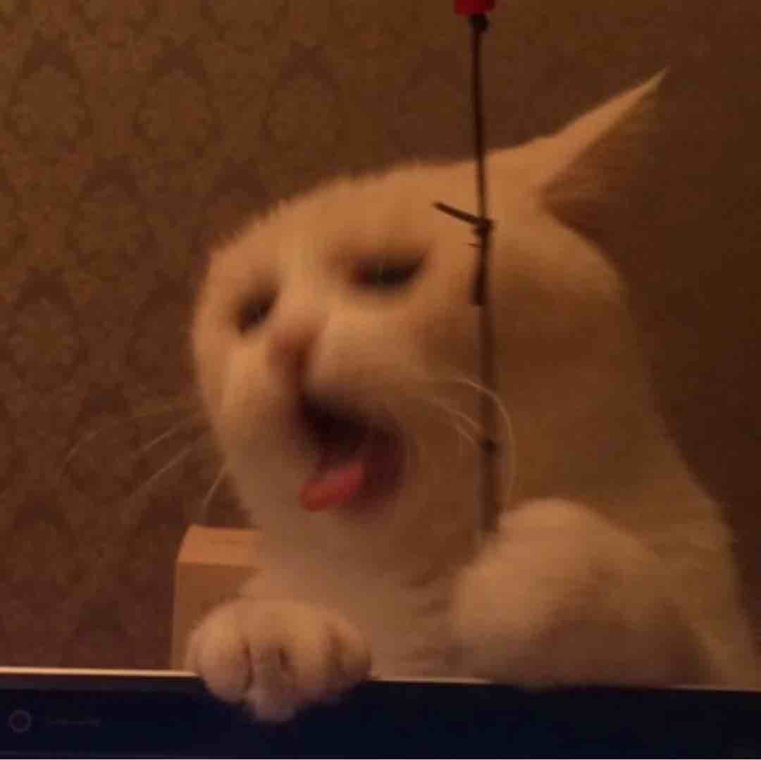 玩家959602122681794560