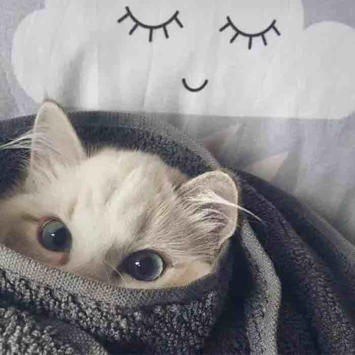 玩家838756749716115456