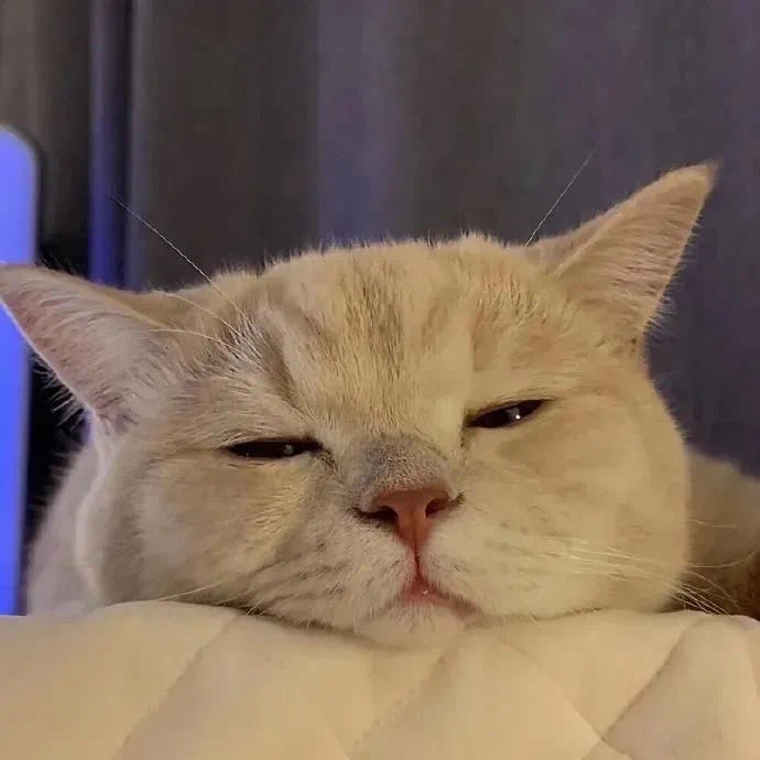 我不是小黑子