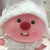 halokelee233