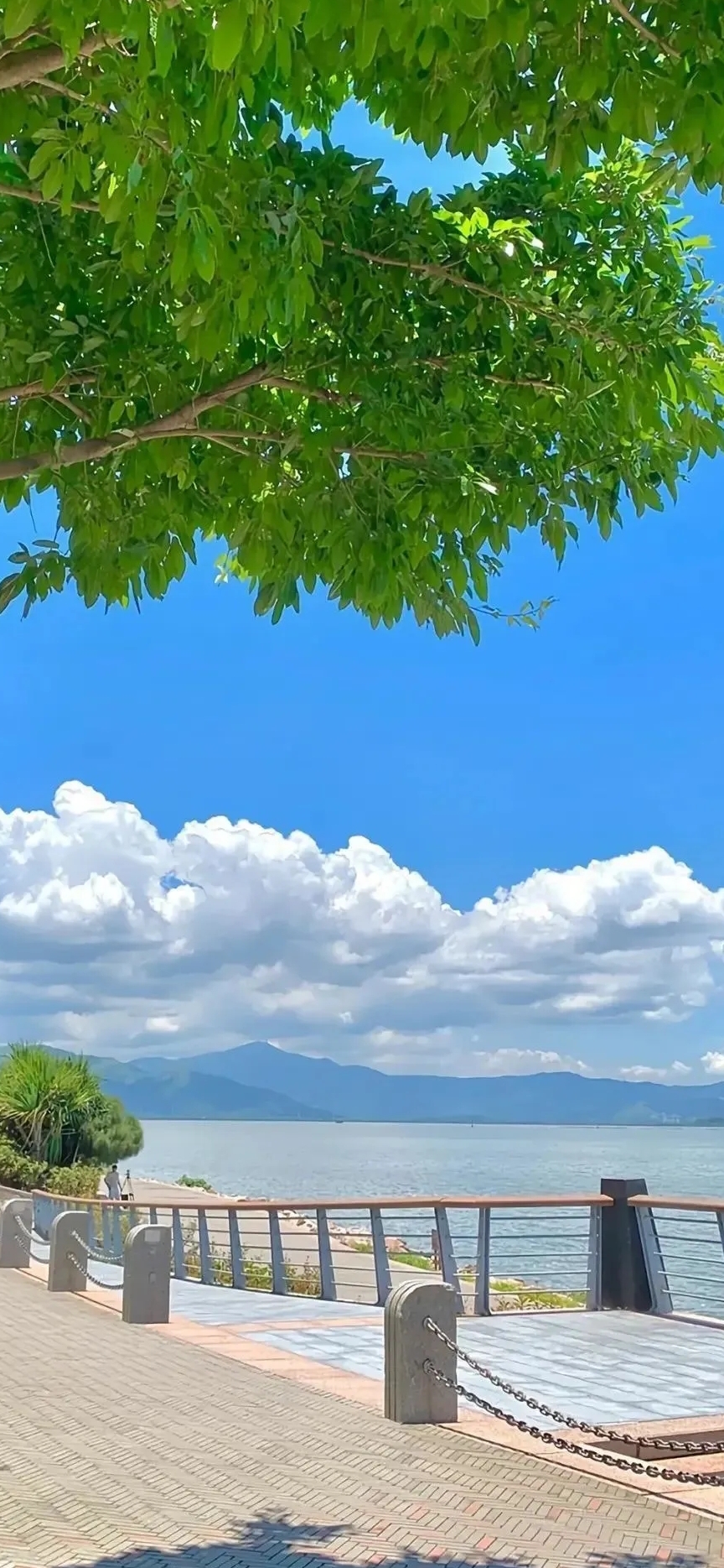 小马同学睡不醒