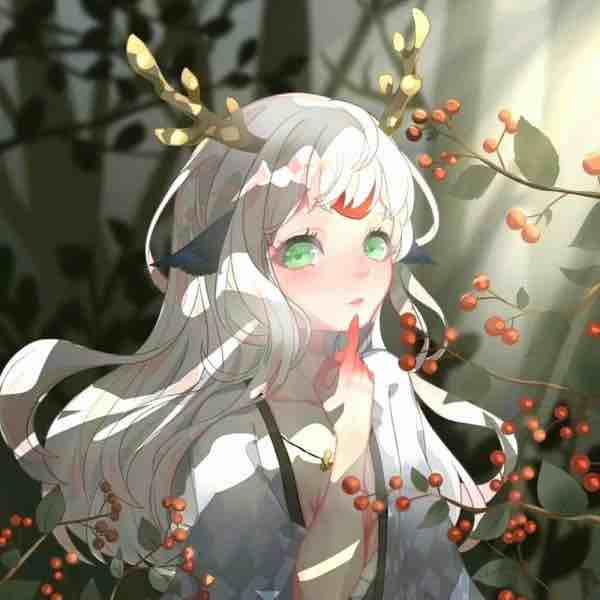 小朱不是小猪