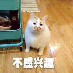 求你了哥看看我