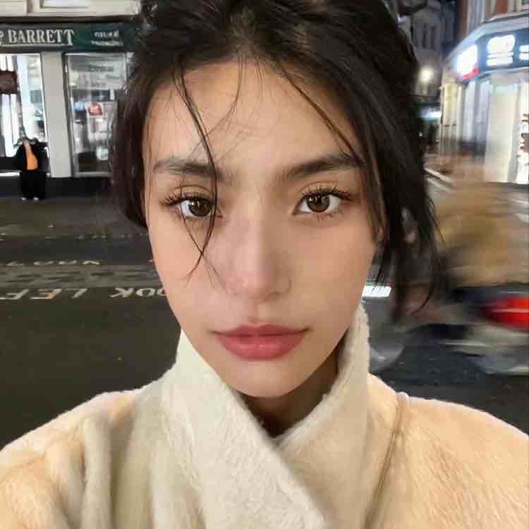 不做梵高