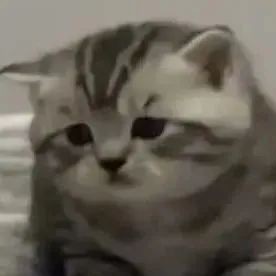 惑众