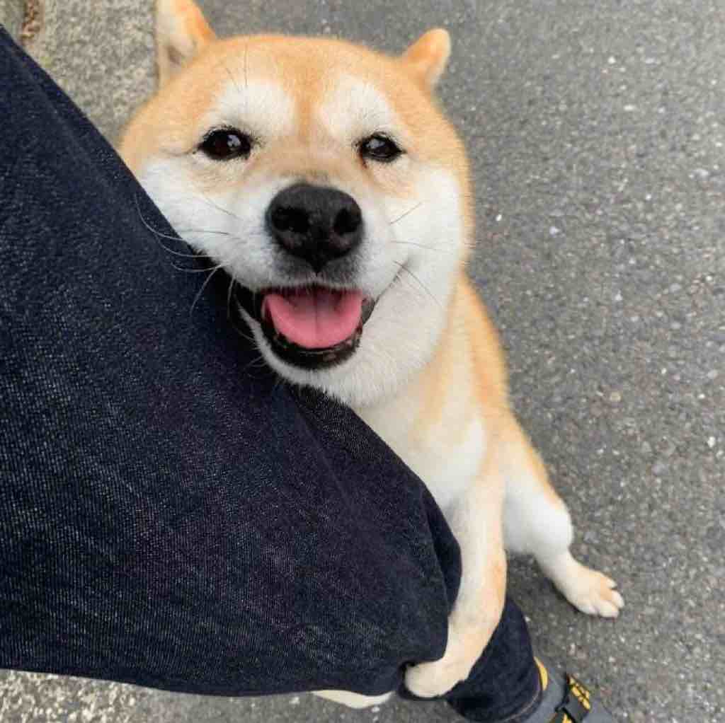 啊啊啊啊啊