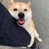 啊啊啊啊啊