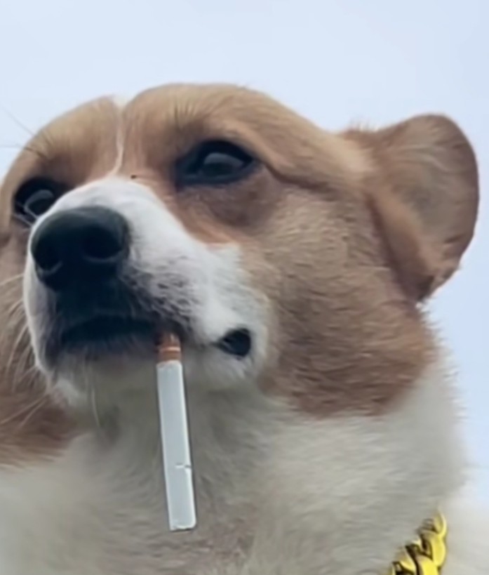 玩家1026990940682018816