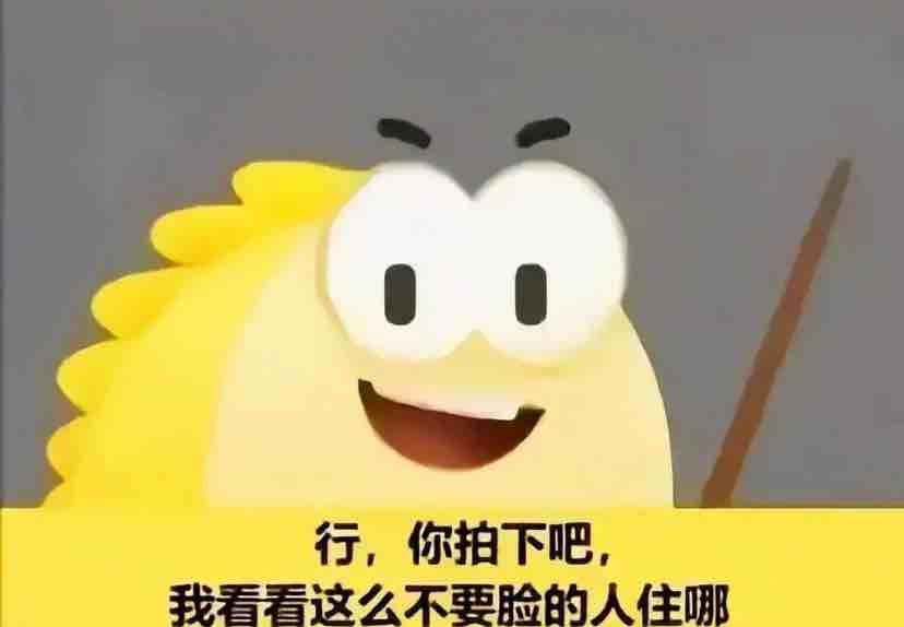 狗拖来喽