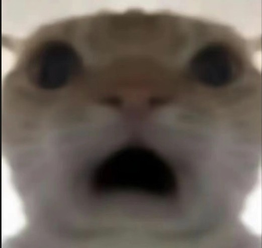 发货秒二十四