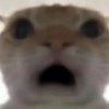 发货秒二十四