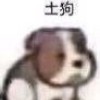 便宜收个野火球球了