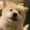 玩家1050358375574835200