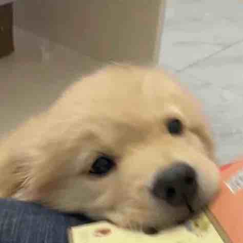 小陆穷穷