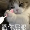 模板好发货快