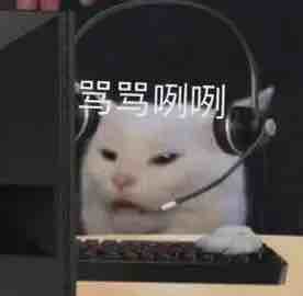 玩家1076676940033593344